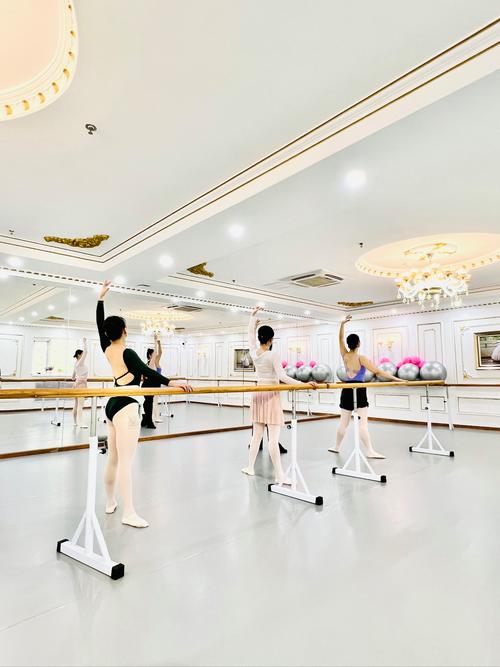 艺考零基础舞蹈培训机构