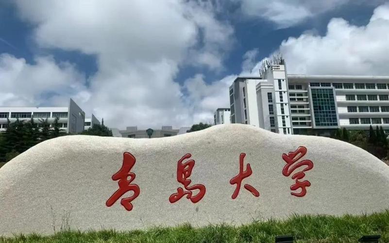 青岛的音乐教育专业大学