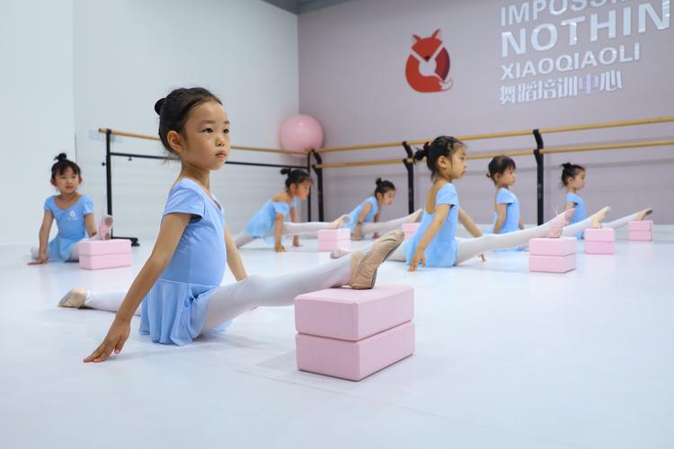 北京清河大人专业舞蹈