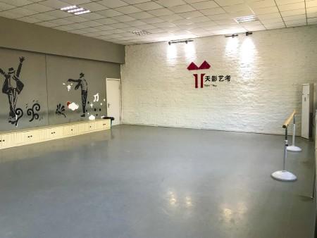 沈阳播音艺考机构哪个好