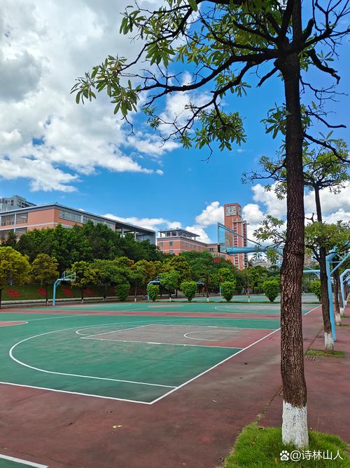 橙果音乐学校无影山校区