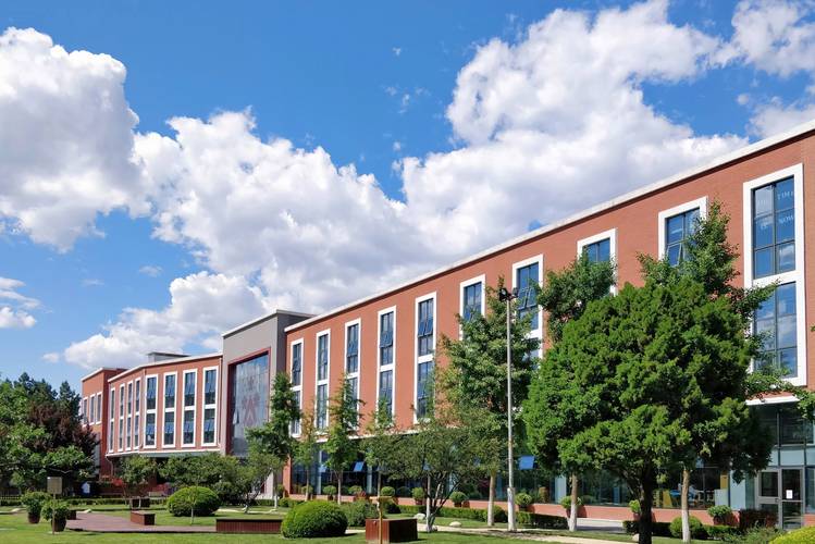 北京 美术类 国际高中