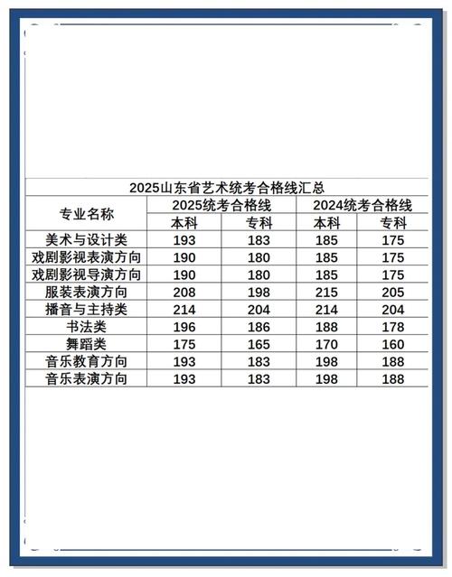 2025山东艺考文化课