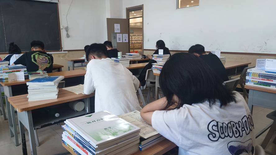 郑州2025艺考文化课