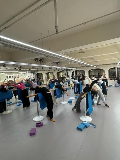 深圳舞蹈学校排行儿童