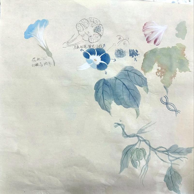 青岛成人国画培训 美术