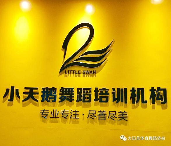 天鹅舞蹈培训机构名字