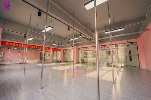 南充业余舞蹈培训学校