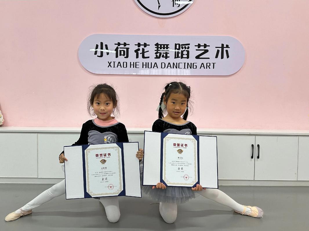 舞蹈乐器考级高考加分