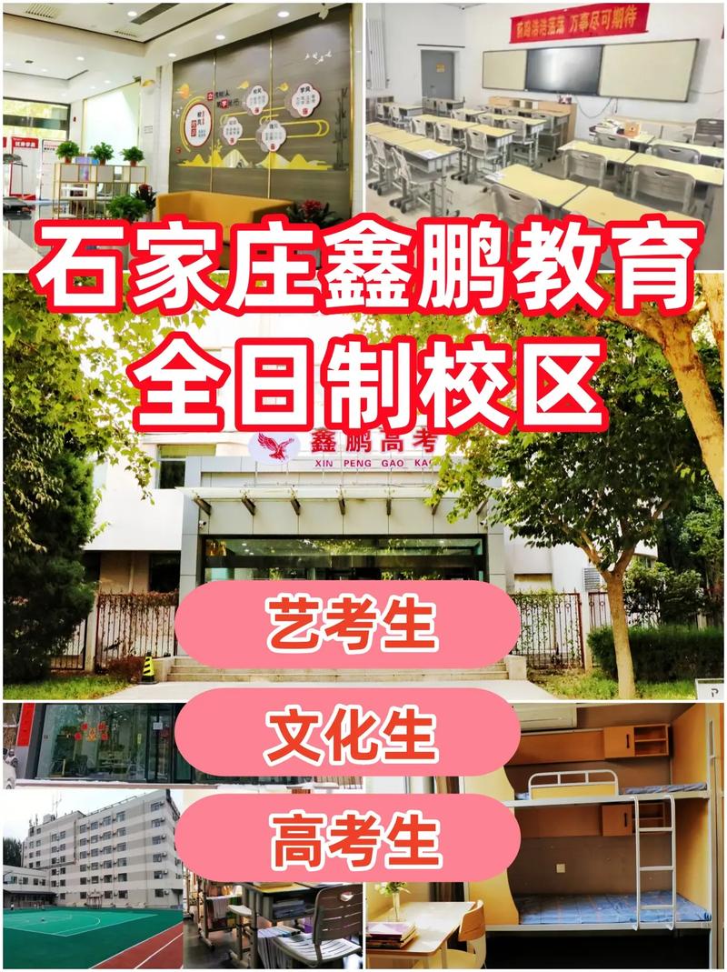 石家庄艺考编导培训学校