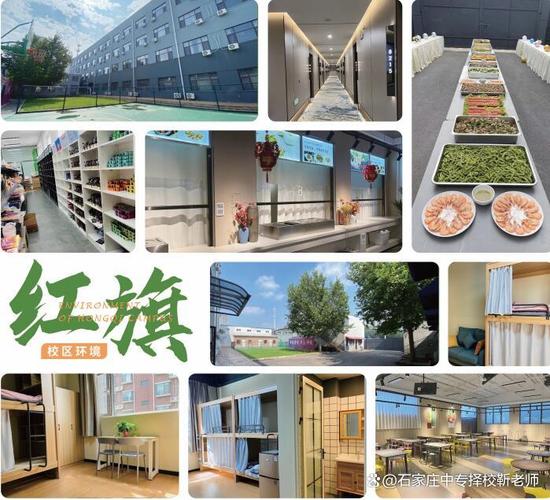 石家庄致远艺考文化培训