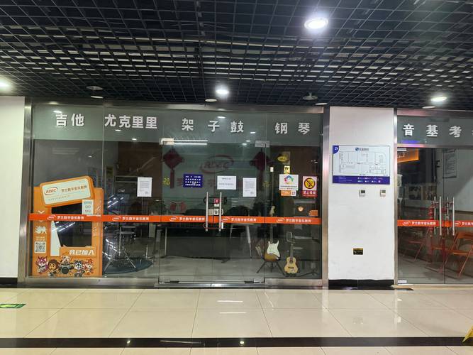 罗兰数字音乐教育 性质