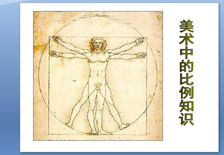 美术中的比例知识ppt