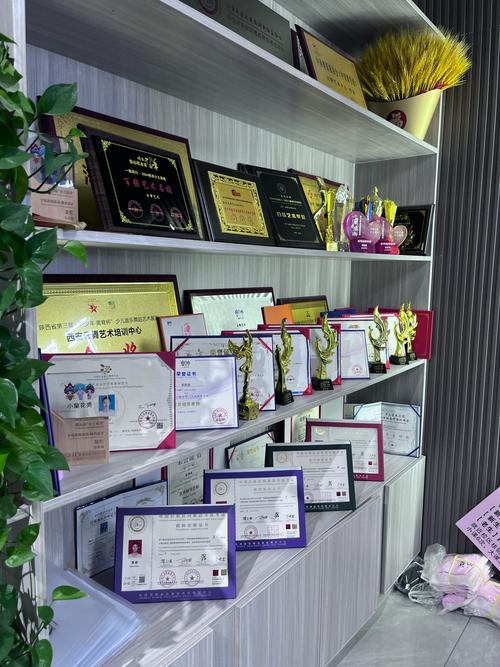 全国少儿舞蹈学校加盟