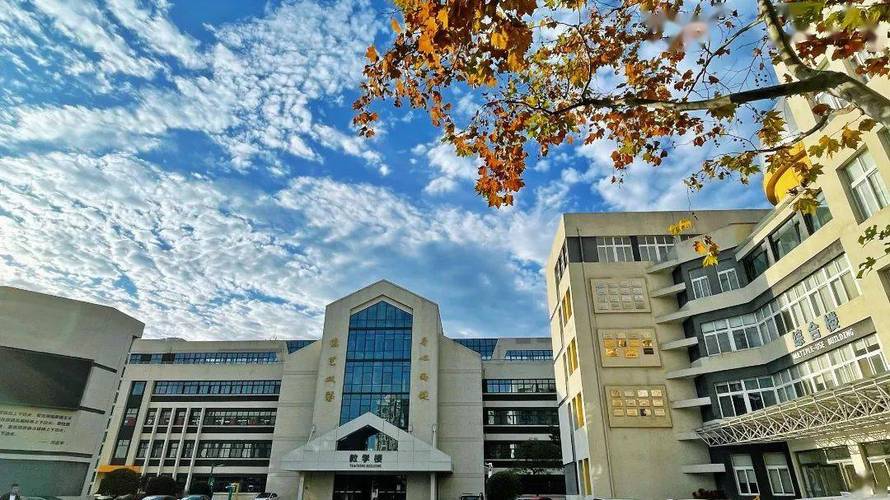 青岛高考美术学校有哪些