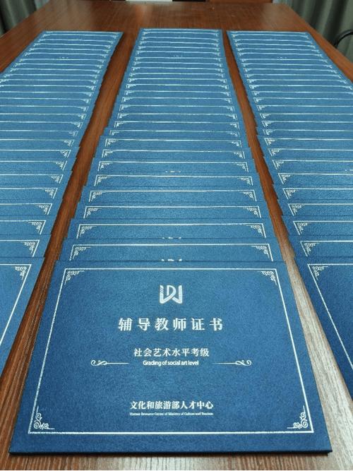 四川 教师资格证 美术