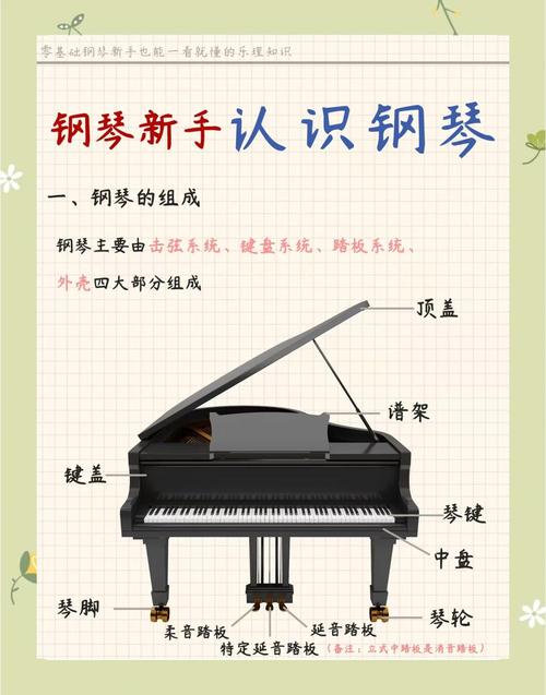 音乐美术五的钢琴步骤区