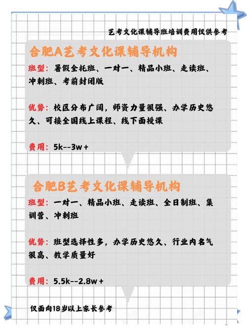 合肥艺术生艺考如何参加