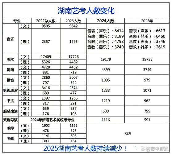 2025年湖南艺考大纲