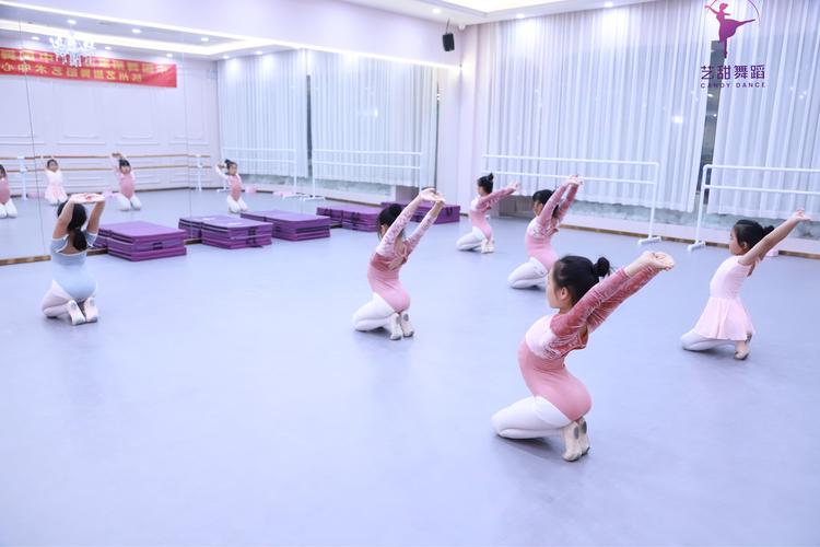 秦皇岛艺考培训学校舞蹈
