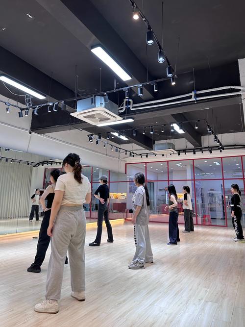 重庆舞蹈考研培训机构