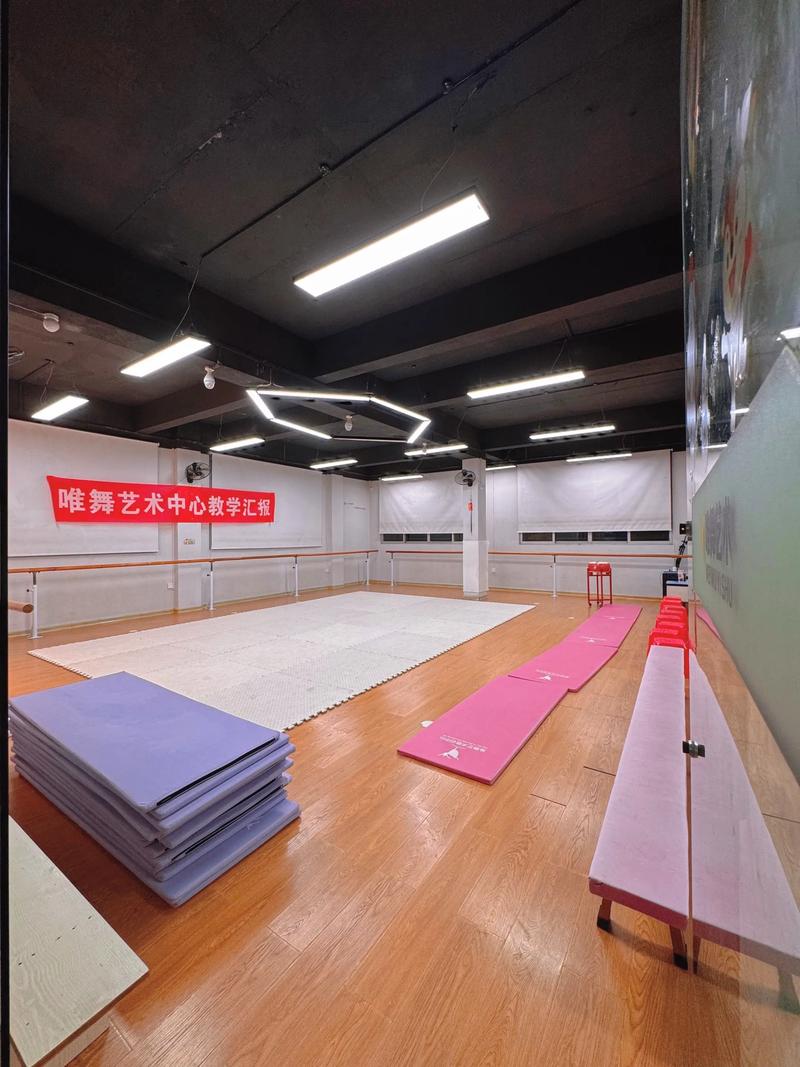 重庆舞蹈考研培训机构