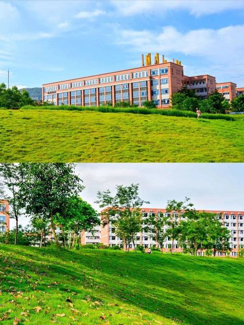 韶关学院美术插本经验