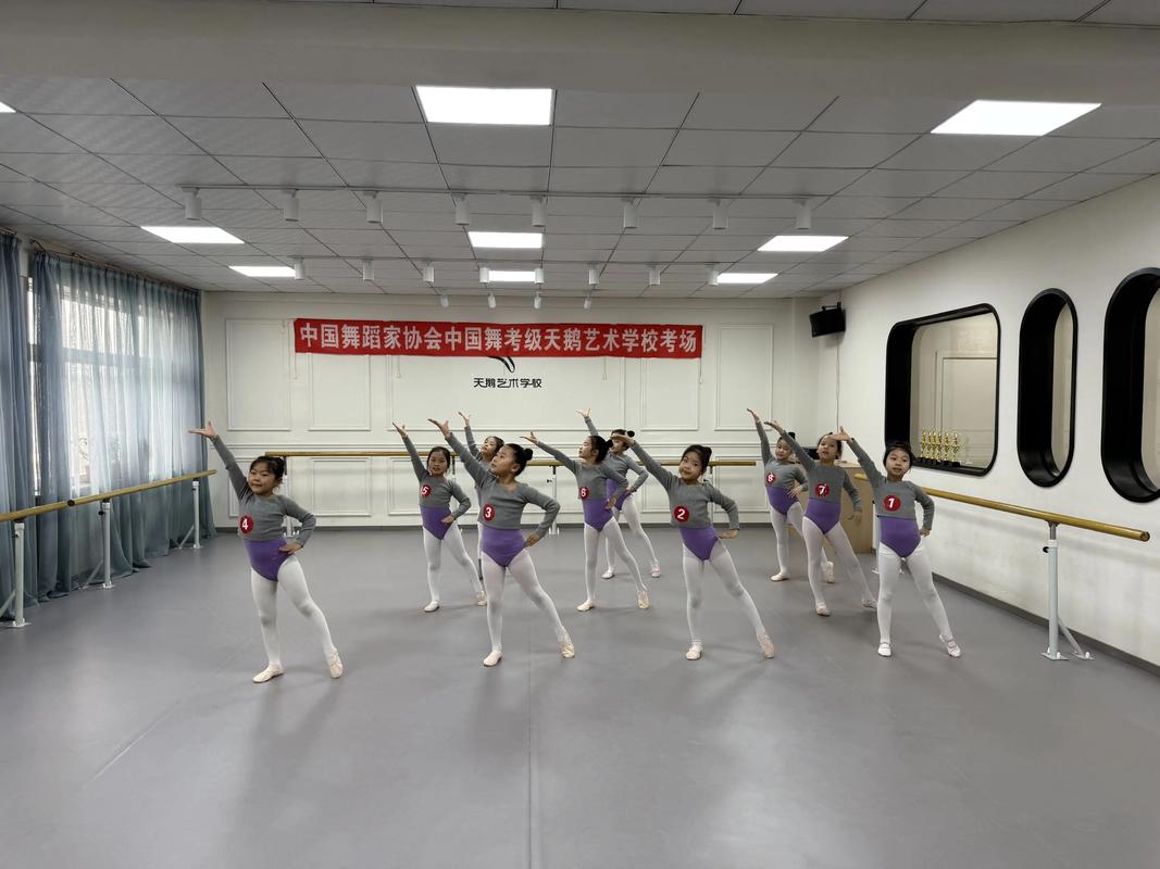 舞蹈联考测试视频下载