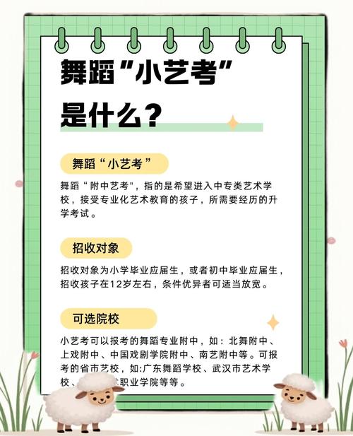 学舞蹈 比赛 艺考费用