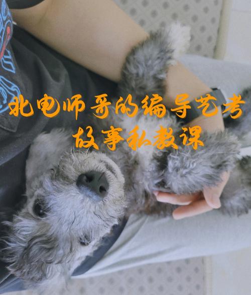 北电艺考故事3000字