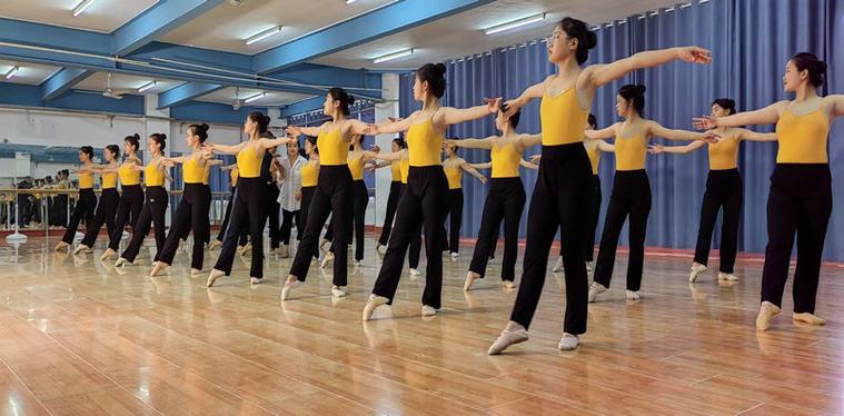 濮阳那个舞蹈学校专业