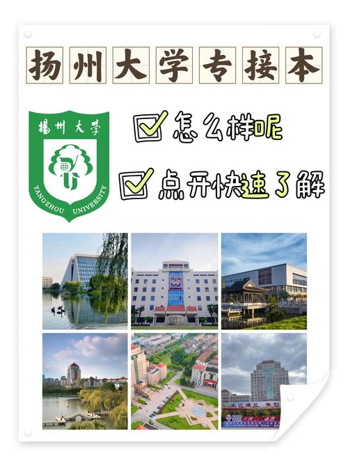 扬州大学专接本音乐专业