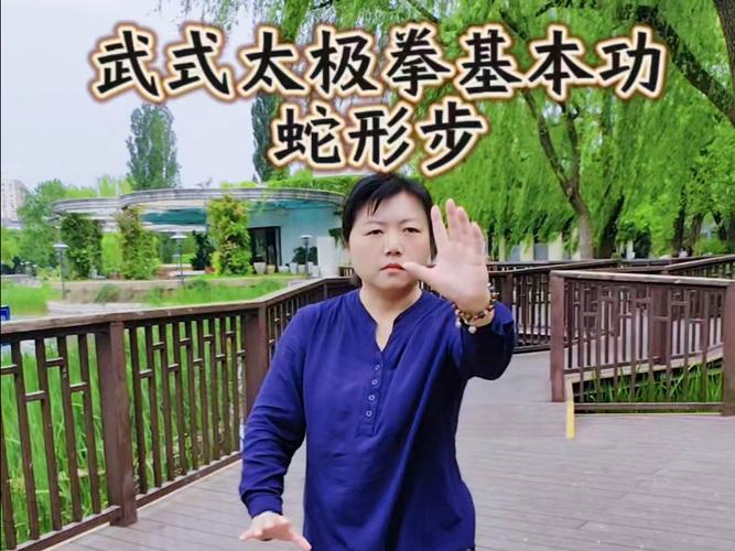 龙身蛇形太极拳50音乐