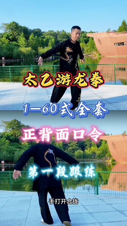 龙身蛇形太极拳50音乐