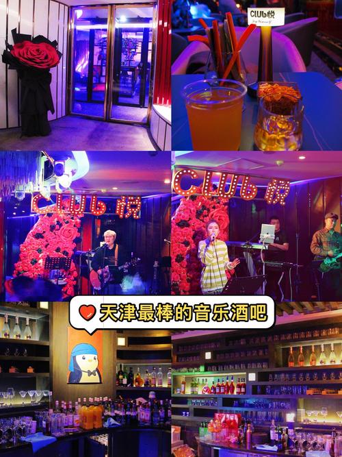 天津有音乐的地方在哪里