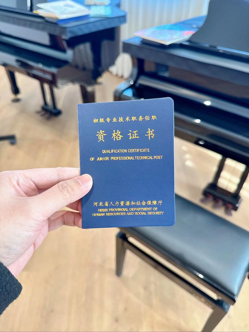 音乐老师都是需要什么证