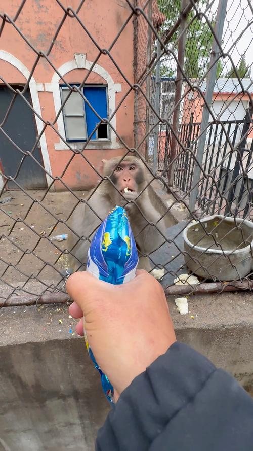 雕虫小技 石家庄 艺考