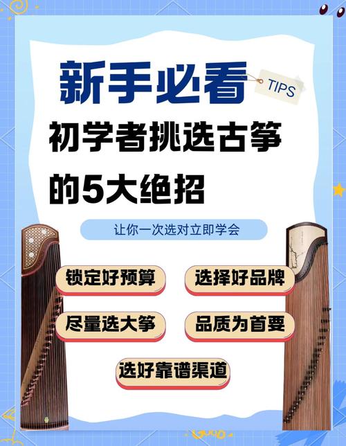 古筝可以报音乐学专业吗