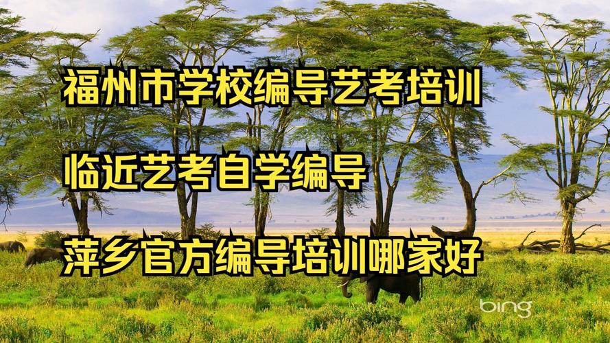 福州 艺考 编导 培训