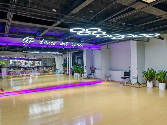 石家庄天艺教育拉丁艺考