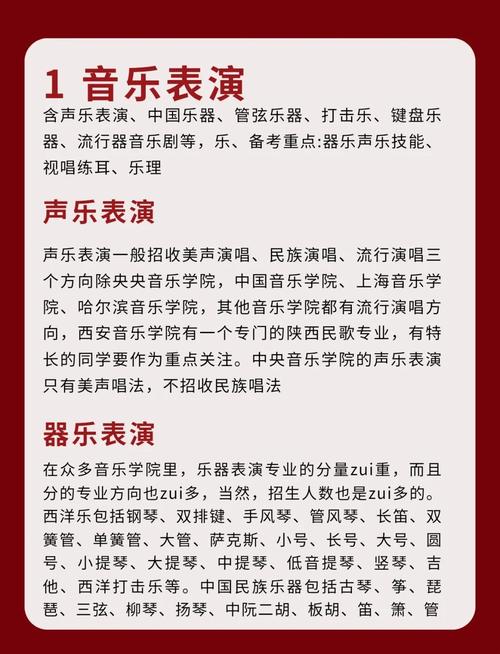 声乐艺考可以考什么专业