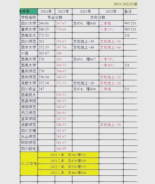 美术生文化没上本科线