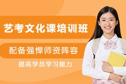 洛阳艺考文化课一对一