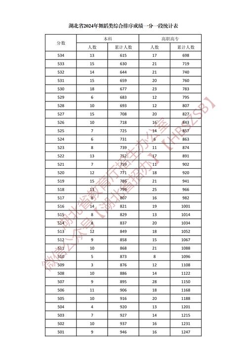 湖南体育舞蹈高考加分