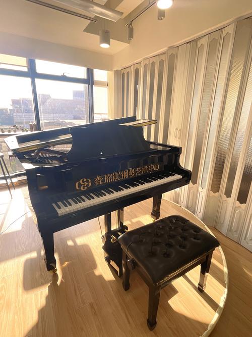 沈阳音乐学院有钢琴函授