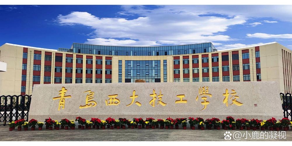 西北大学青岛美术考点