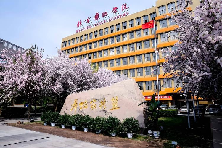 山艺音乐教育在哪个校区