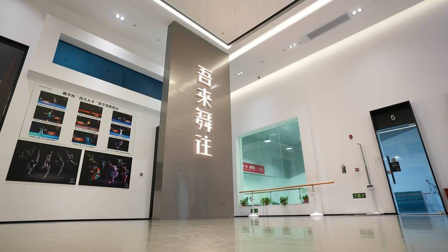 北京连锁舞蹈培训机构