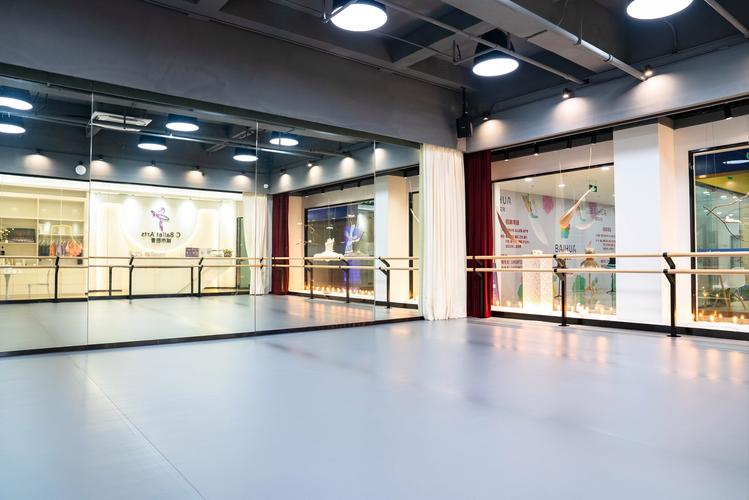 佛山单色国际舞蹈学校