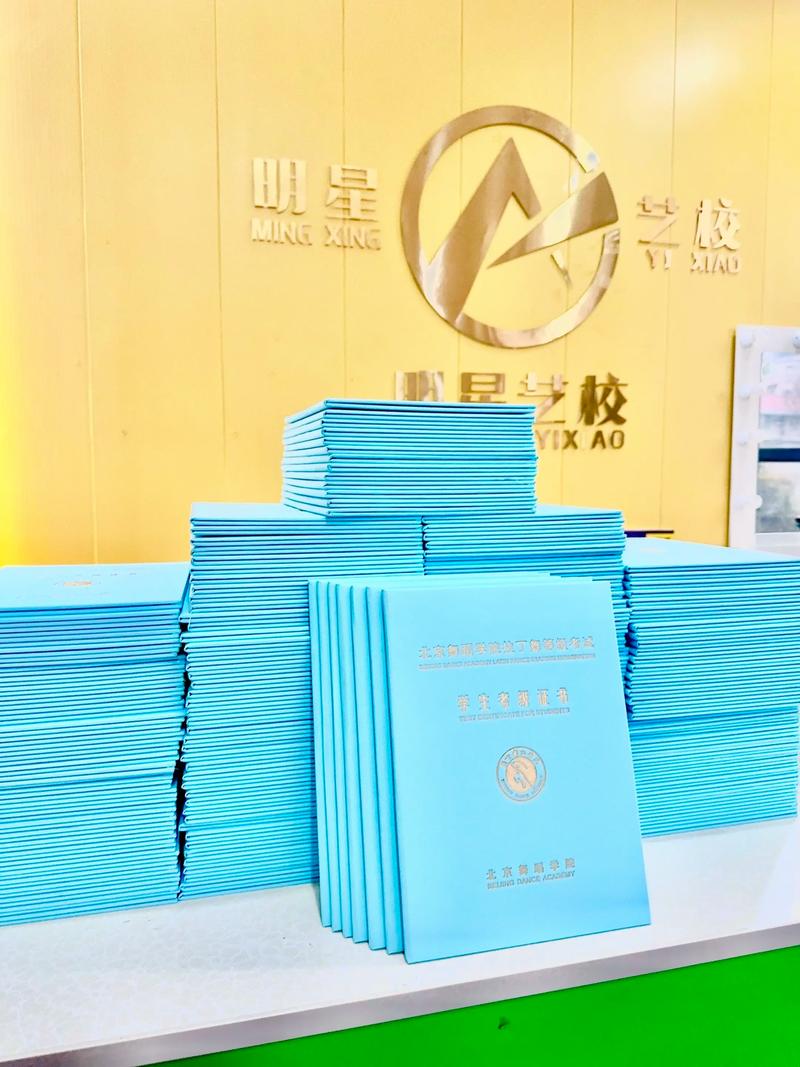 北京市舞研艺考多少钱